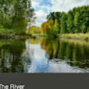 Meet your Posher, Rose